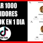 TikTok Seguidores