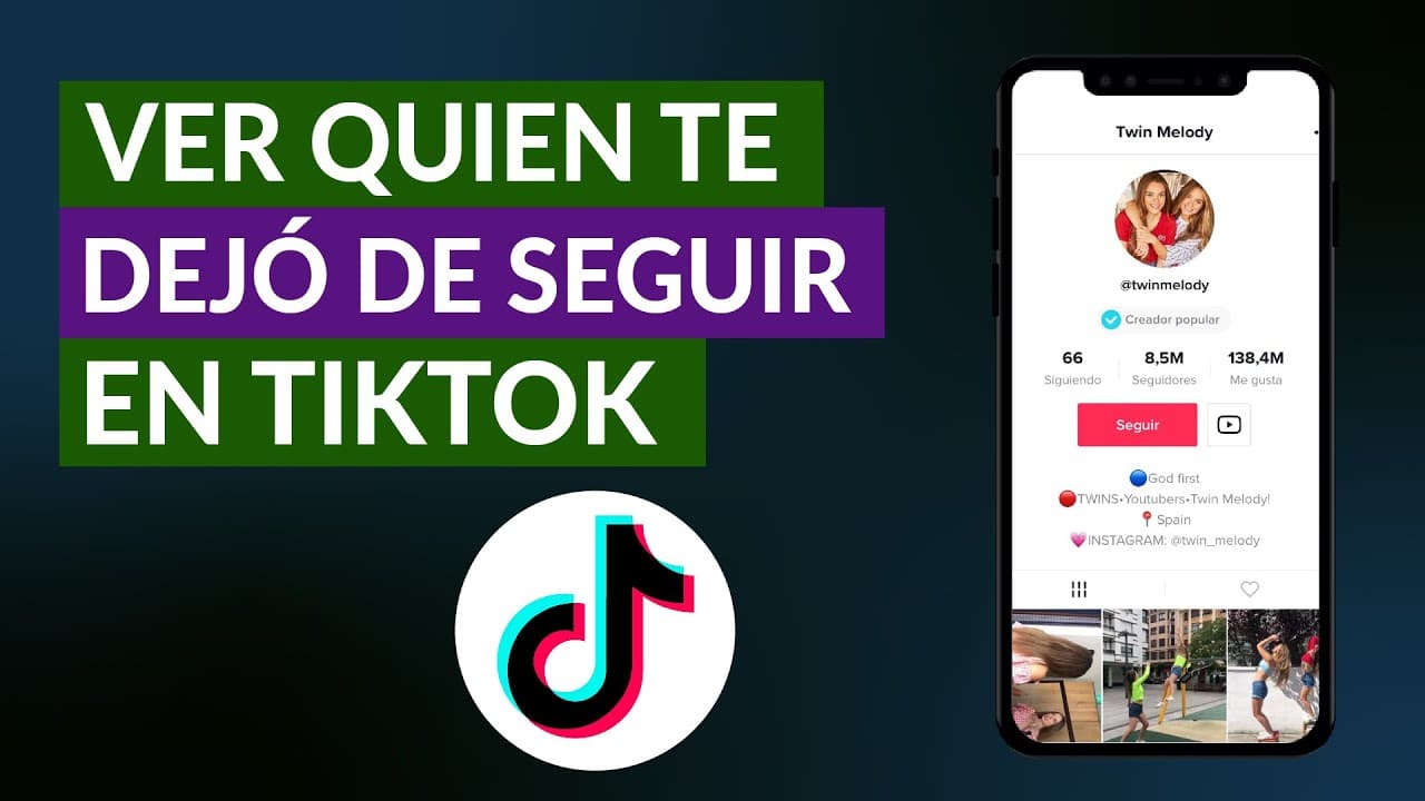 descubre como funciona la visualizacion de perfil en tiktok guia completa