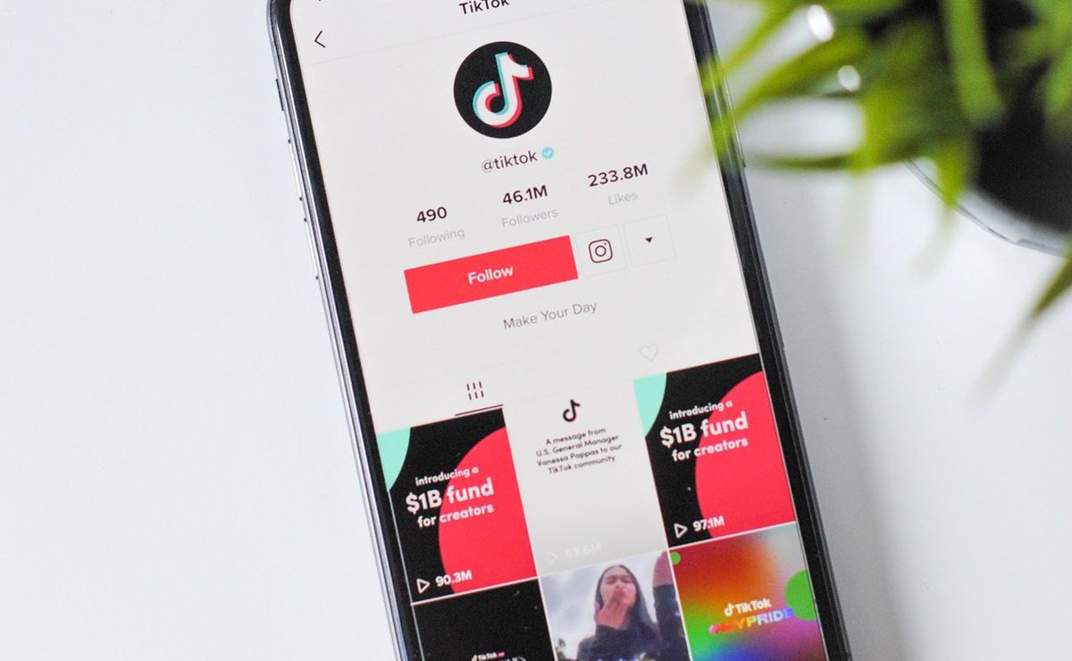 descubre cuantos seguidores necesitas en tiktok para empezar a ganar dinero