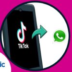 Descubre el secreto: Cómo enviar un TikTok por WhatsApp en solo unos pasos