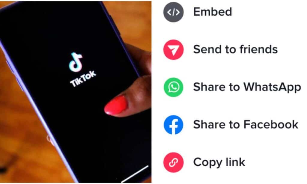 tiktok descubre como puedes ganar dinero viendo videos en la popular plataforma